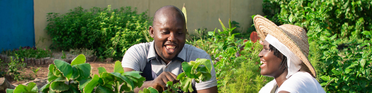 Actividades auxiliares en viveros, jardines y centros de jardinería