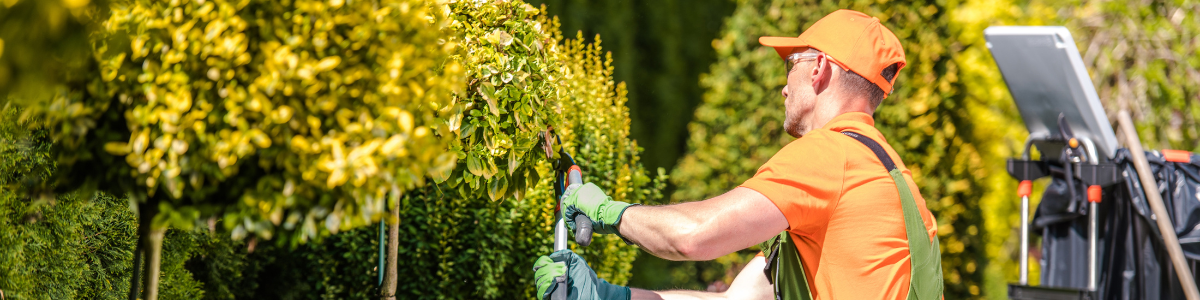 Jardinería y restauración del paisaje